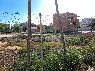 CARDENAL CISNEROS 6