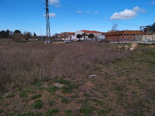 PILAREJO 2