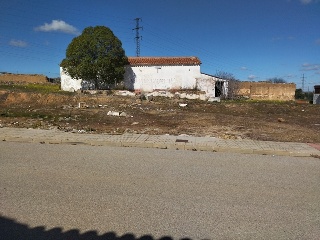 PILAREJO 5