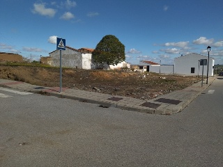 PILAREJO 6
