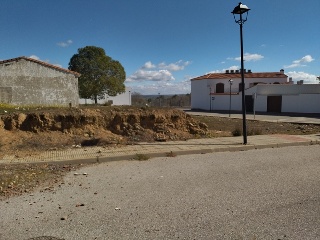 PILAREJO 7