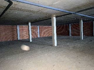DOS PAXARIÑOS 15