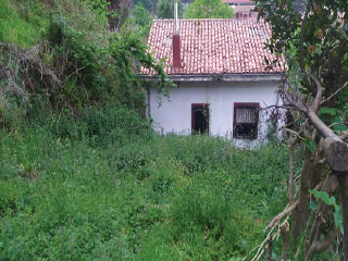 Finca rústica con edificación en San Martín del Rey Aurelio - Asturias - 3