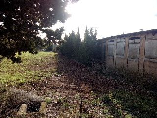 Nave industrial en Ulldecona 4