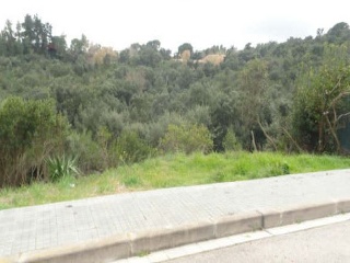 Suelos urbanos en C/ Los Pinares - Lloret de Mar - Girona  9