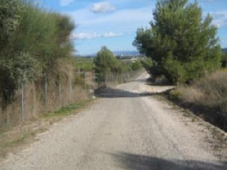 Suelo rústico en Montesa - Valencia - 6
