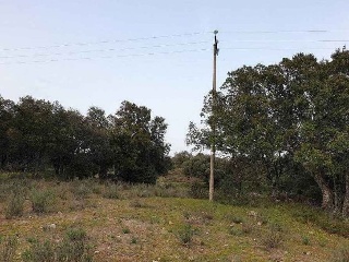 Suelo rústico en Paraje El Enebral - Colmenar del Arroyo - Madrid  7