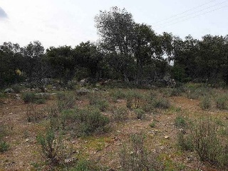 Suelo rústico en Paraje El Enebral - Colmenar del Arroyo - Madrid  8