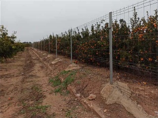 Suelo rústico en Partida Ramblar, Pol 20 - Chiva - 6