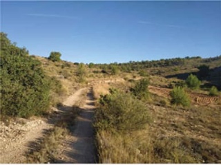Suelo rústico en Paraje Algayat - La Romana - Alicante 7