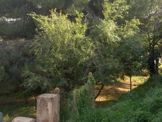 Solar en C/ Sant Sebastiá - L´Ametlla del Vallès - 7