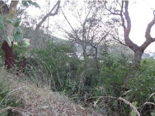 Suelo urbano en Maçanet de la Selva (Girona) 9