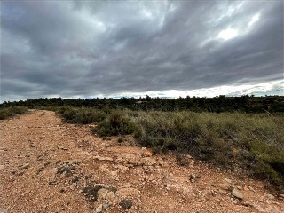 Suelo rústico en Paraje Casa Nueva o Mirador - Requena - 7