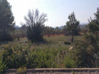 Solar en C/ Llanorel - Macastre - Valencia 7