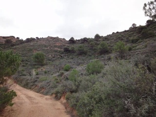 Suelo rústico en Paraje Vallota - Arnedo - La Rioja  7