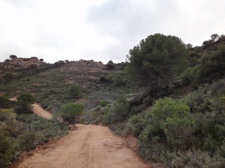 Suelo rústico en Paraje Vallota - Arnedo - La Rioja  8