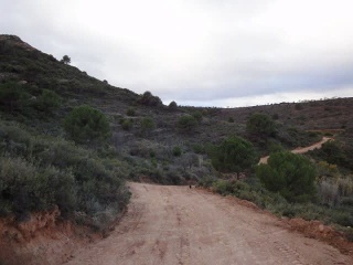 Suelo rústico en Paraje Vallota - Arnedo - La Rioja  9