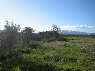 Otros en venta en Móra D'ebre de 9800  m²