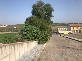 02380-0010 5