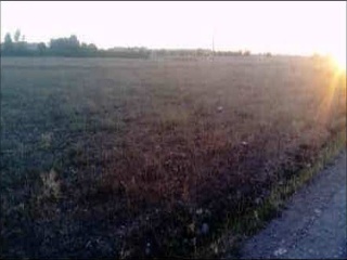 Otros en venta en Torralba De Calatrava de 11389  m²