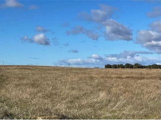 12889-0003 2
