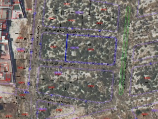 10139-0004 5