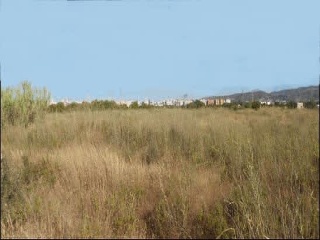 Otros en venta en Castellón De La Plana de 7027  m²