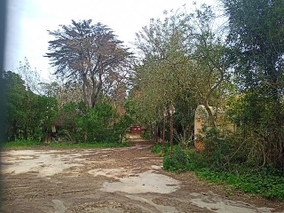 11206-0001 2