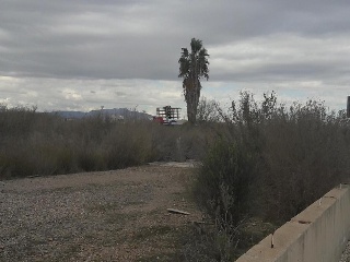 15498-0001 6