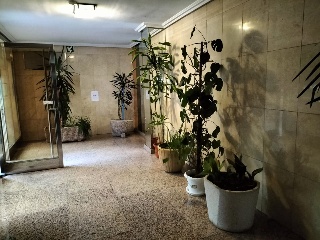 Piso en C/ Don Pelayo, Palencia 13