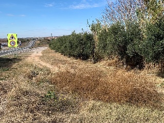 Otros en venta en Juneda de 6767  m²