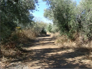 Suelo urbanizable sectorizado en  C/ Rubiales, Pinos Genil (Granada) 10