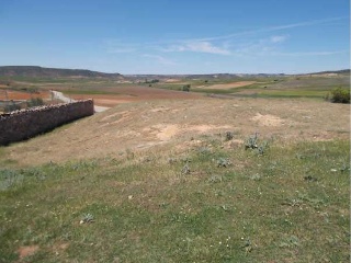 Otros en venta en Olmeda Del Rey de 1484  m²