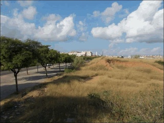 Otros en venta en Castellón De La Plana de 3199  m²