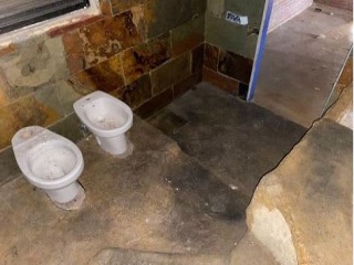 15099-0001 43