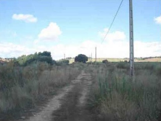 04323-0001 2