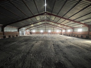 14436-0001 11