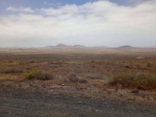 01686-0001 5