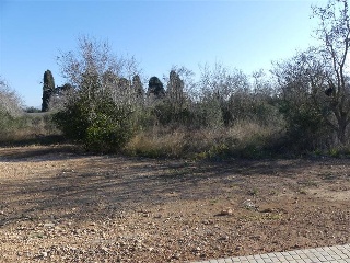 03877-0001 6