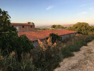 09292-0001 7
