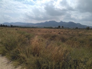 Otros en venta en Jumilla de 1117  m²