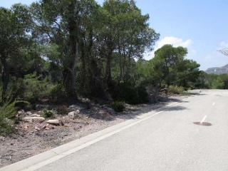 Otros en venta en Almenara de 9943  m²