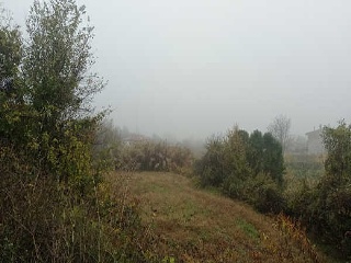 00050-0001 10