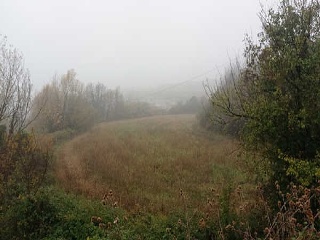 00050-0001 11