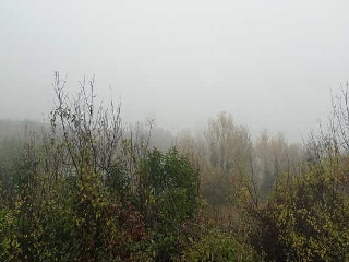 00050-0001 13
