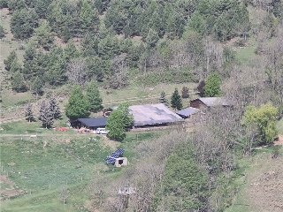 11861-0001 15