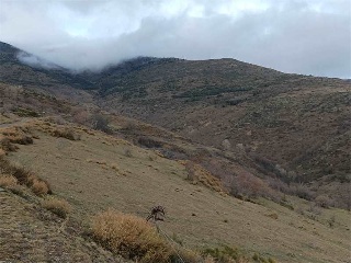 11861-0001 19