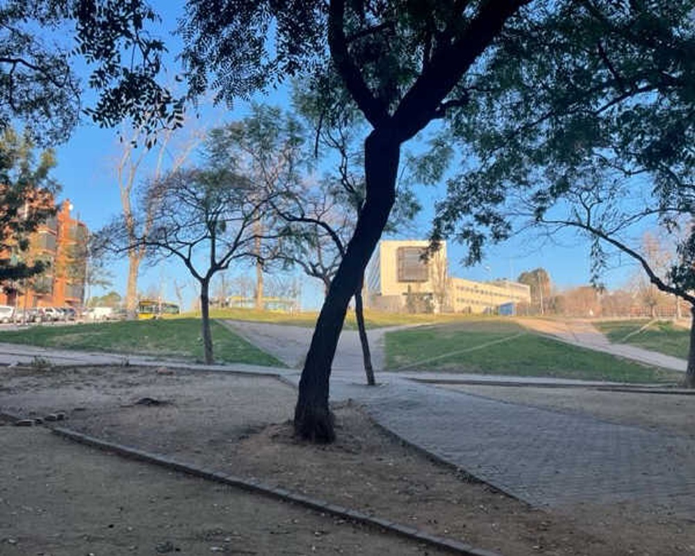 Piso en Cr/ Santa Coloma, Badalona (Barcelona)