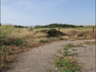 00072-0001 3