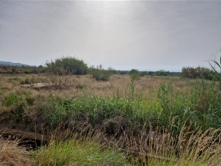 00072-0001 6